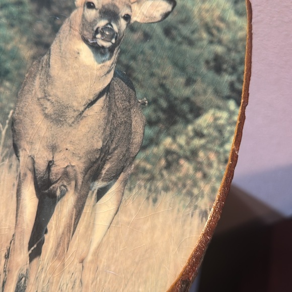 Buck Print on Wood Slice - Picture 7 of 7